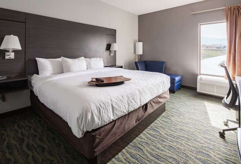 هتل Clarion Inn Near Lookout Mountain