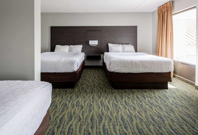 هتل Clarion Inn Near Lookout Mountain