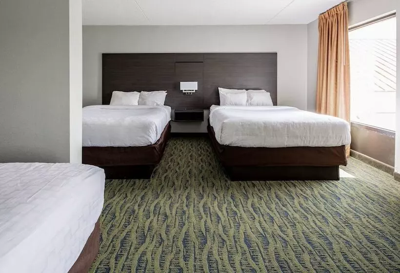 호텔 Clarion Inn Near Lookout Mountain