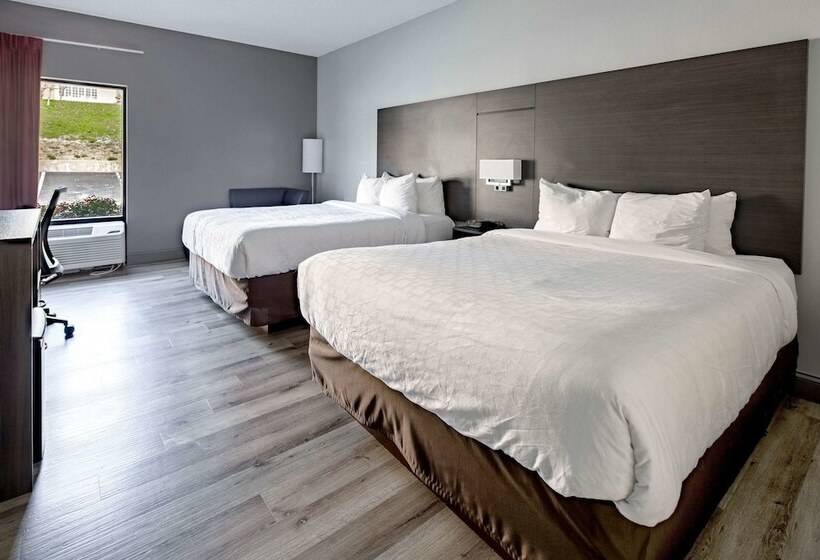 هتل Clarion Inn Near Lookout Mountain