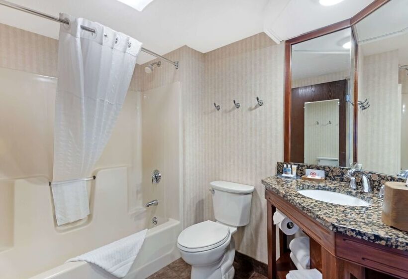 فندق Comfort Inn