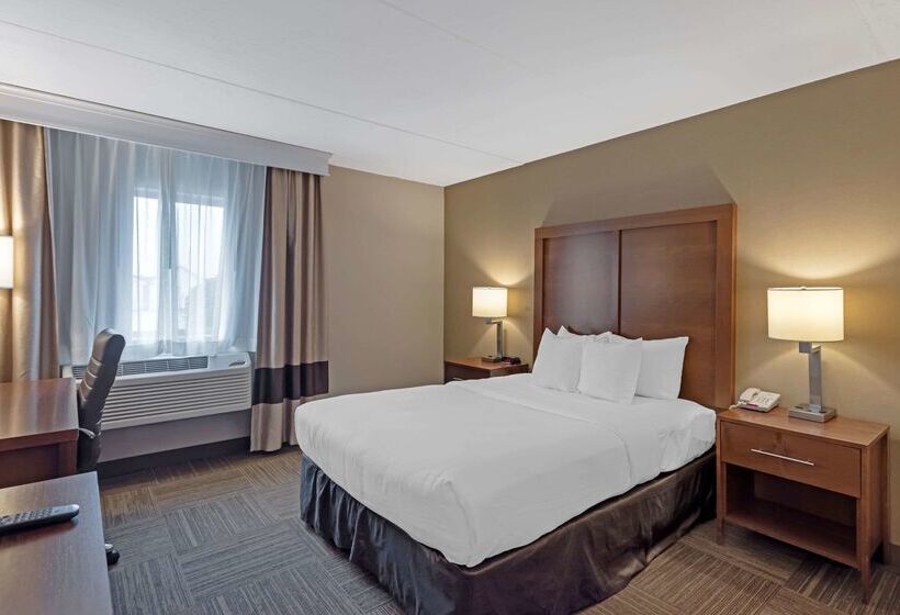 فندق Comfort Inn