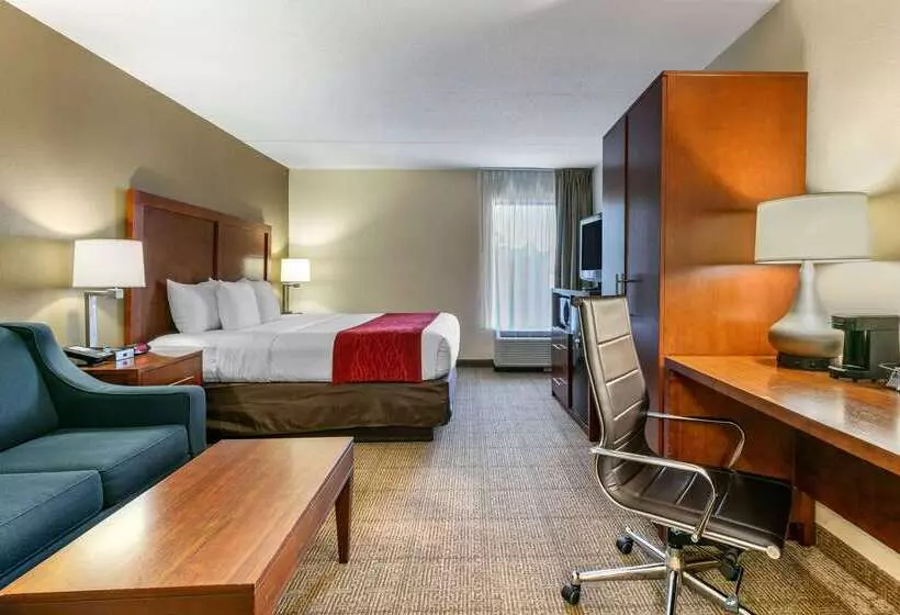 호텔 Comfort Inn Downtown