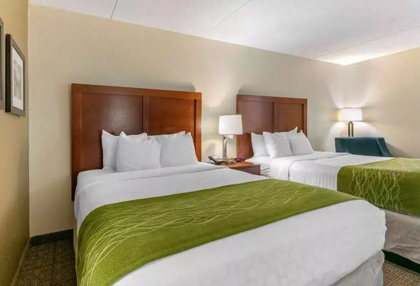 호텔 Comfort Inn Downtown