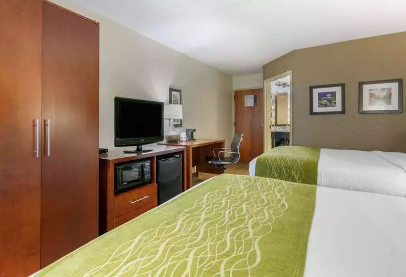 호텔 Comfort Inn Downtown