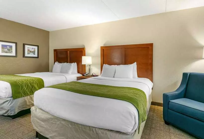 호텔 Comfort Inn Downtown