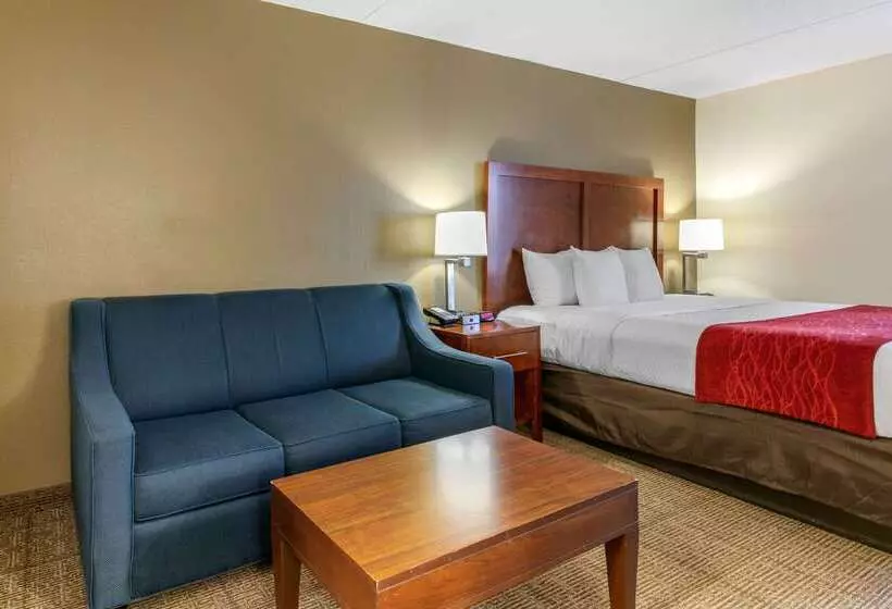 호텔 Comfort Inn Downtown