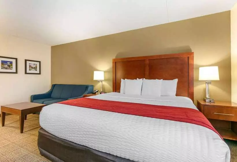 호텔 Comfort Inn Downtown