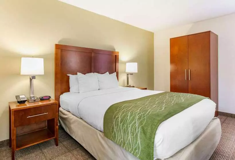 호텔 Comfort Inn Downtown