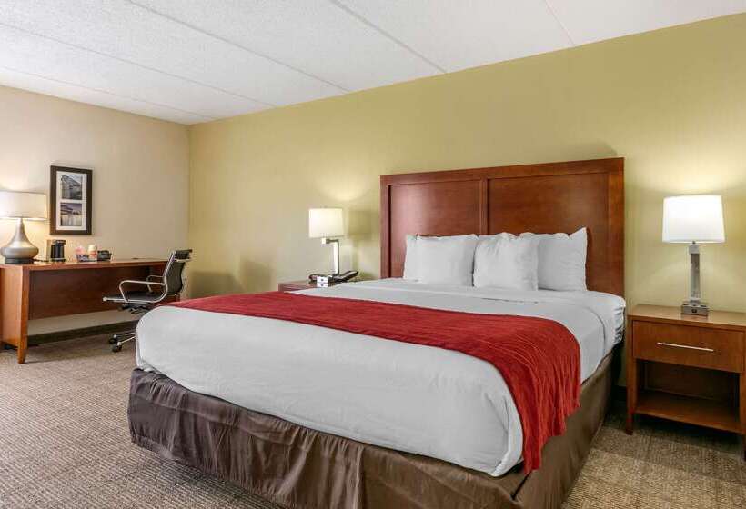 هتل Comfort Inn Downtown