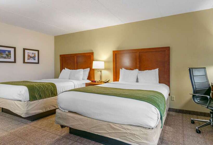 هتل Comfort Inn Downtown