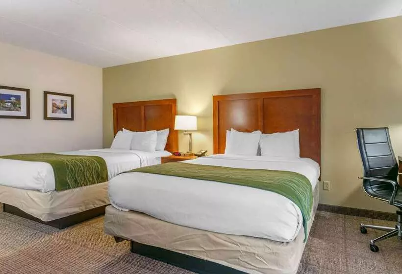 호텔 Comfort Inn Downtown