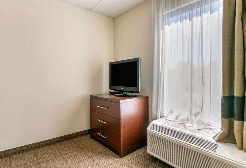 هتل Comfort Inn Downtown