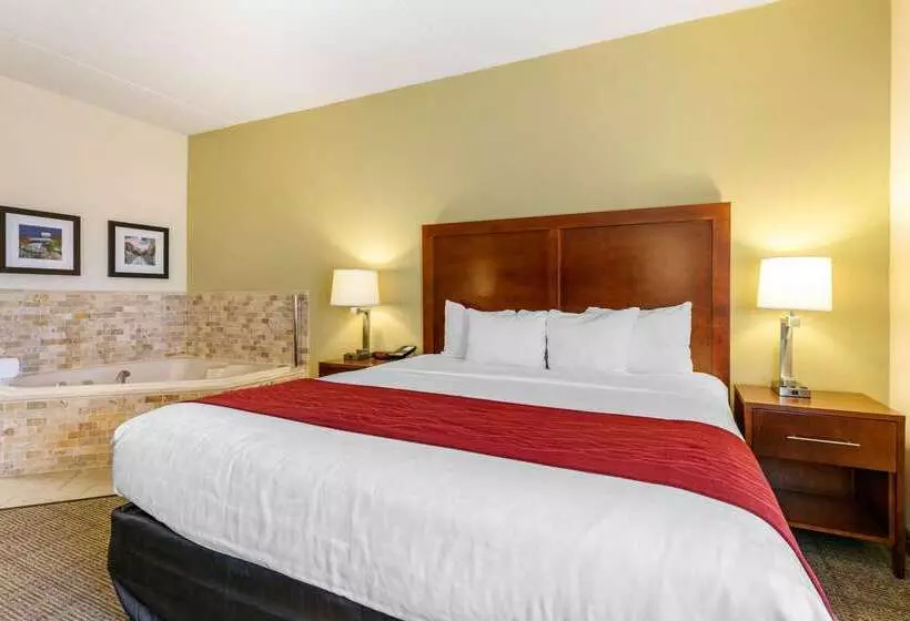 호텔 Comfort Inn Downtown