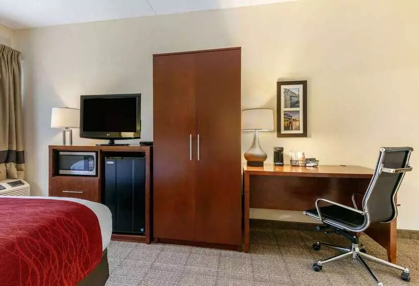 호텔 Comfort Inn Downtown