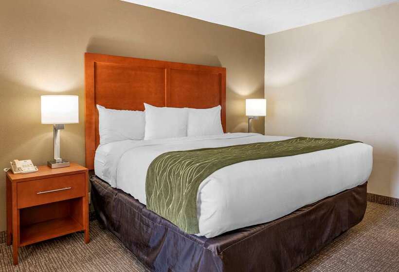 ホテル Comfort Inn Oxford