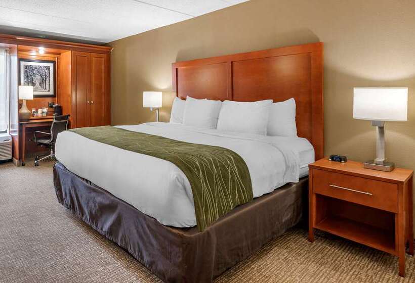 ホテル Comfort Inn Oxford