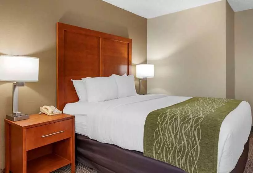 호텔 Comfort Inn Oxford