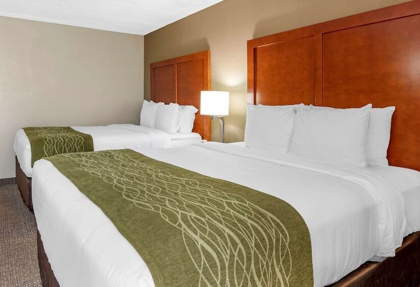 ホテル Comfort Inn Oxford