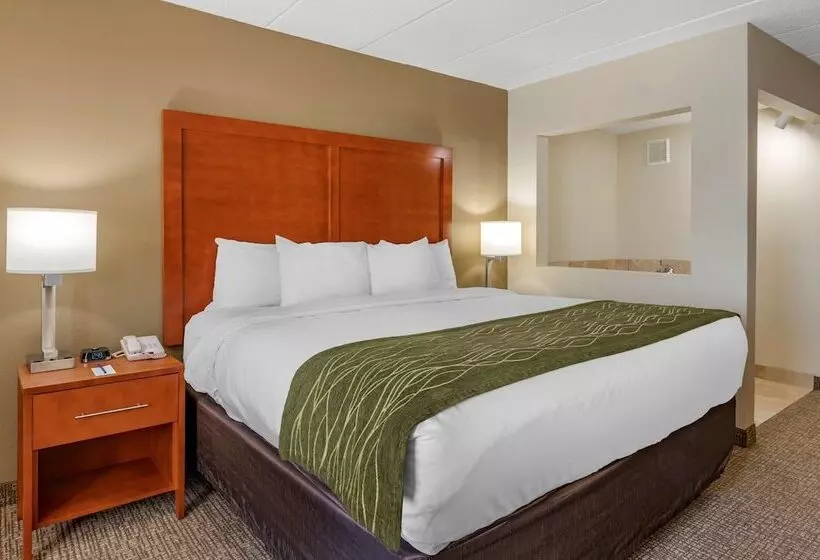 호텔 Comfort Inn Oxford