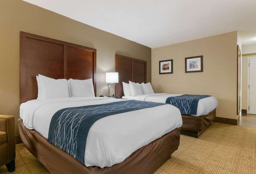 فندق Comfort Inn & Suites Durham Near Duke University
