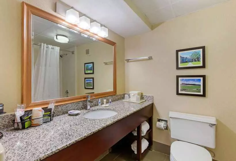 هتل Comfort Inn & Suites Durham Near Duke University