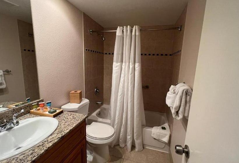 Отель Gulfstream Manor