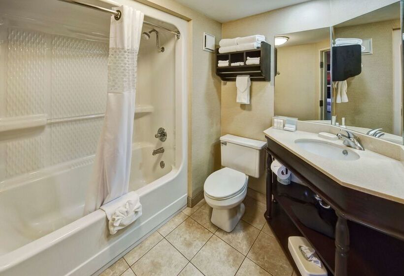 בית מלון כפרי Hampton Inn By Hilton Clarksville