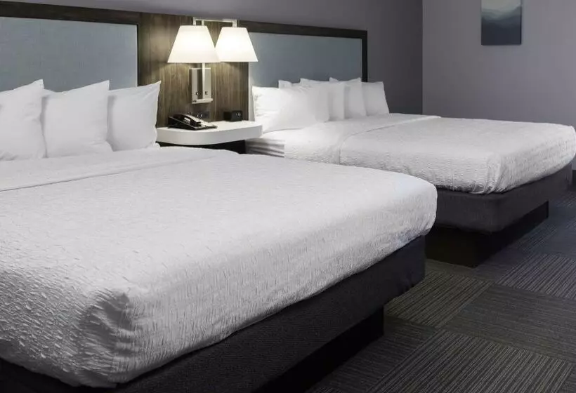 Hotel Hampton Inn Conyers