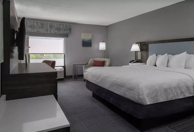 Hotel Hampton Inn Conyers