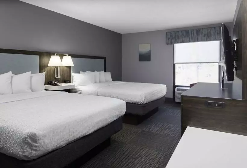 Hotel Hampton Inn Conyers