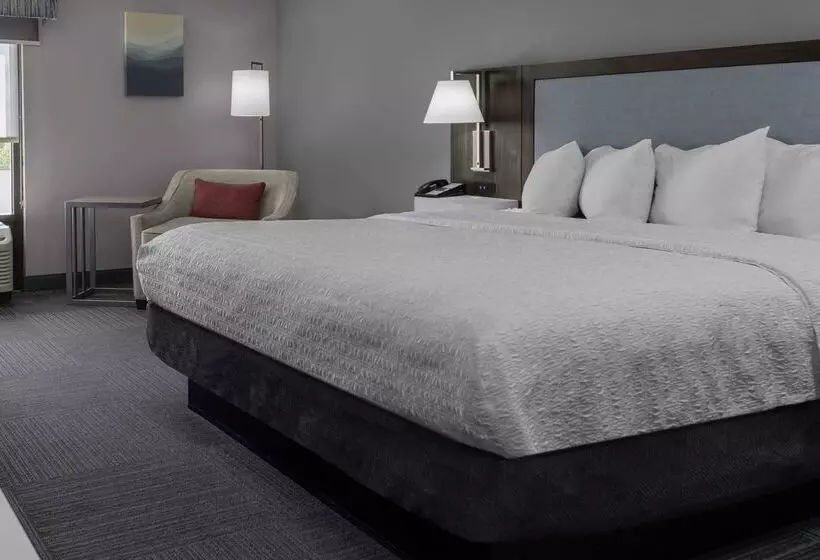 Hotel Hampton Inn Conyers