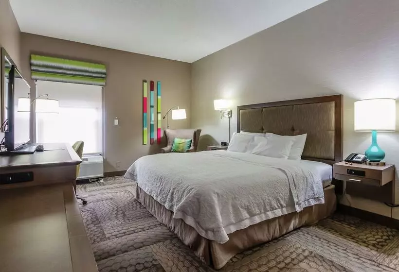 ホテル Hampton Inn Dickson