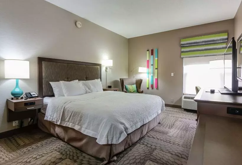 ホテル Hampton Inn Dickson