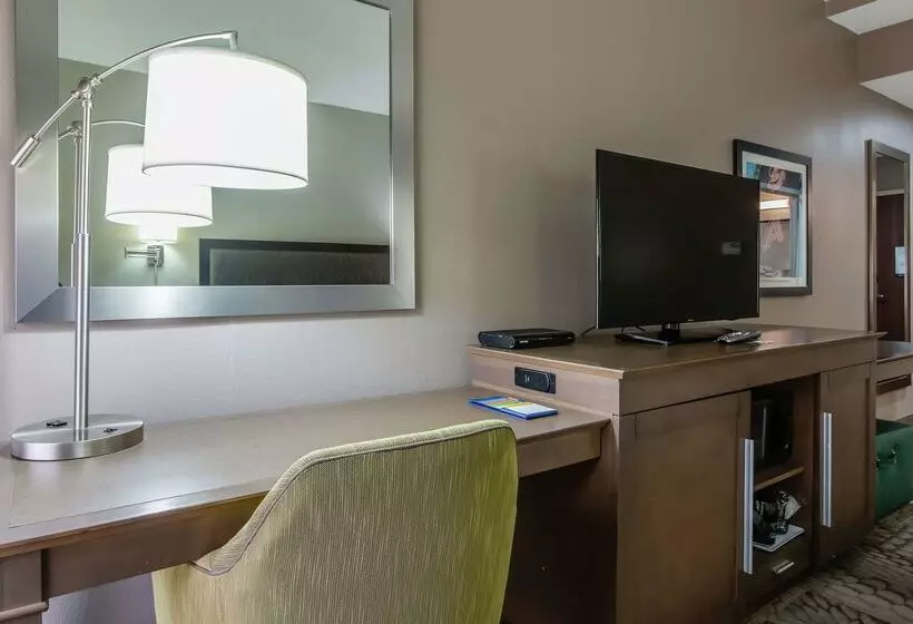 ホテル Hampton Inn Dickson