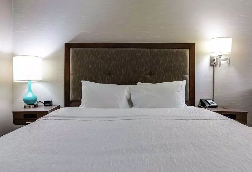 ホテル Hampton Inn Dickson