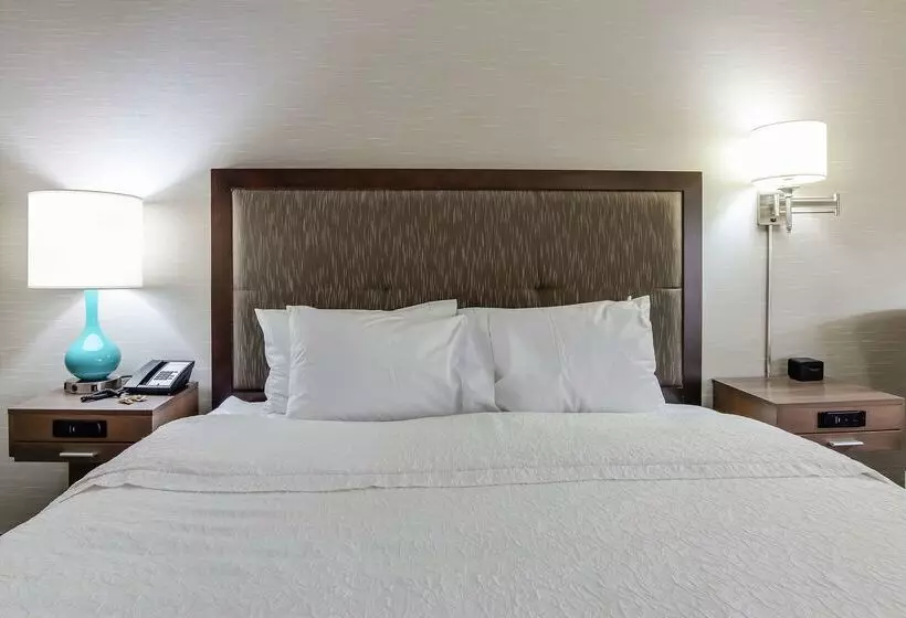 ホテル Hampton Inn Dickson