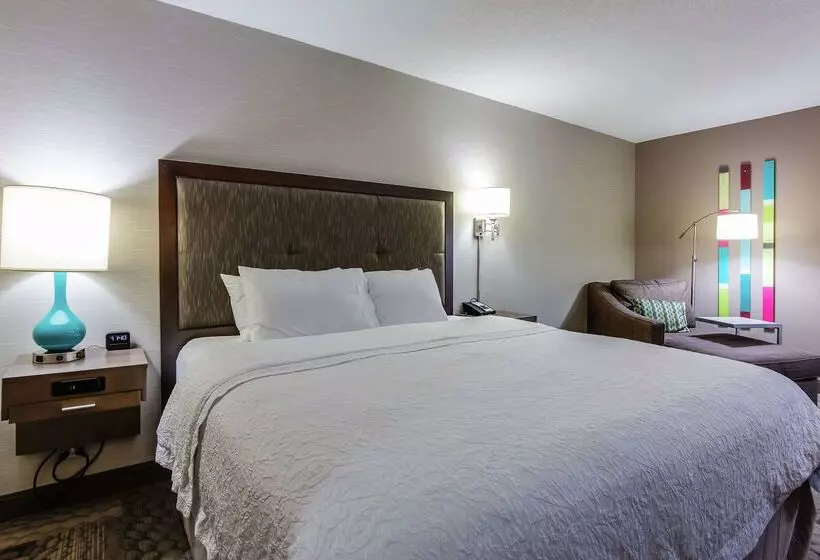 ホテル Hampton Inn Dickson
