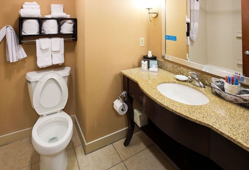בית מלון כפרי Hampton Inn Elizabethtown Ky