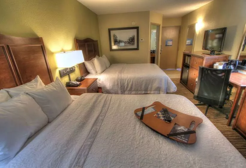בית מלון כפרי Hampton Inn Gatlinburg