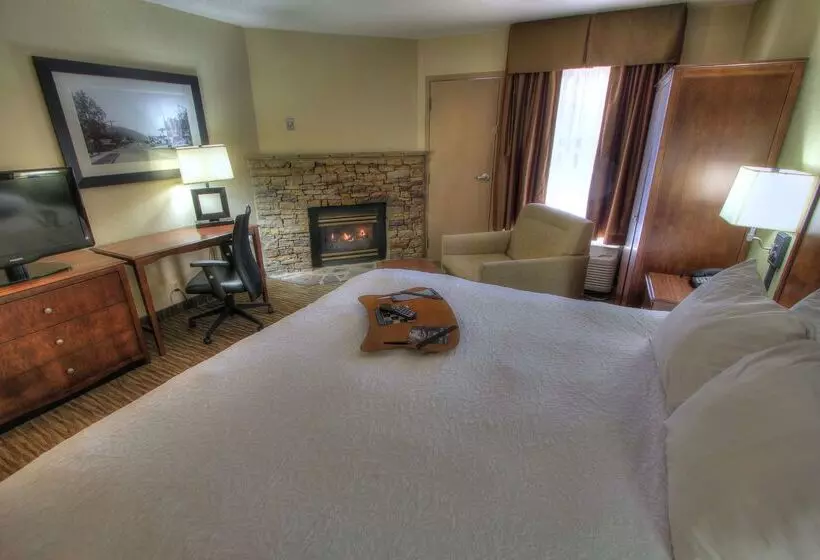 בית מלון כפרי Hampton Inn Gatlinburg