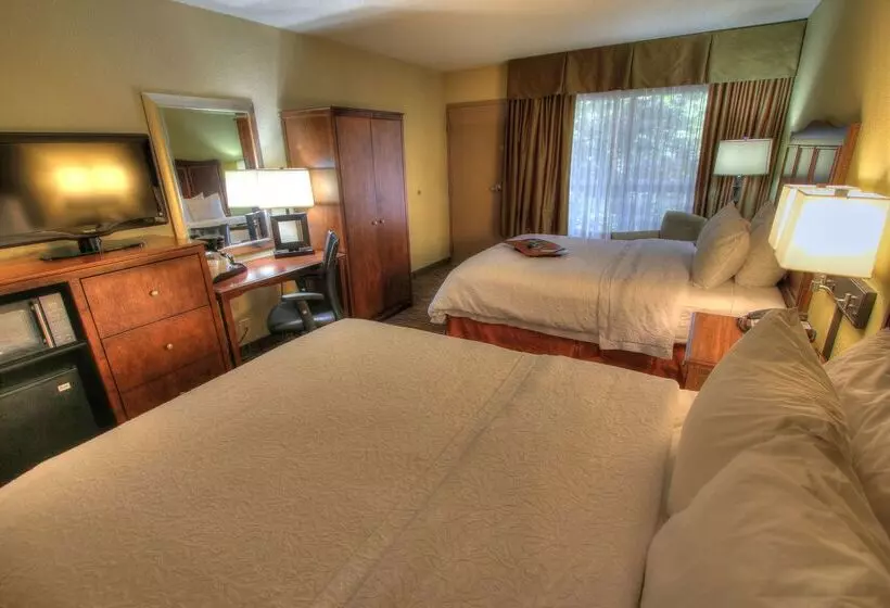 בית מלון כפרי Hampton Inn Gatlinburg