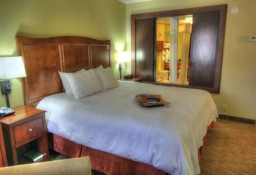 בית מלון כפרי Hampton Inn Gatlinburg