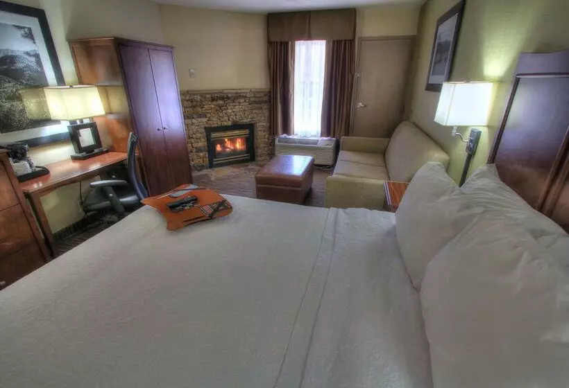 בית מלון כפרי Hampton Inn Gatlinburg