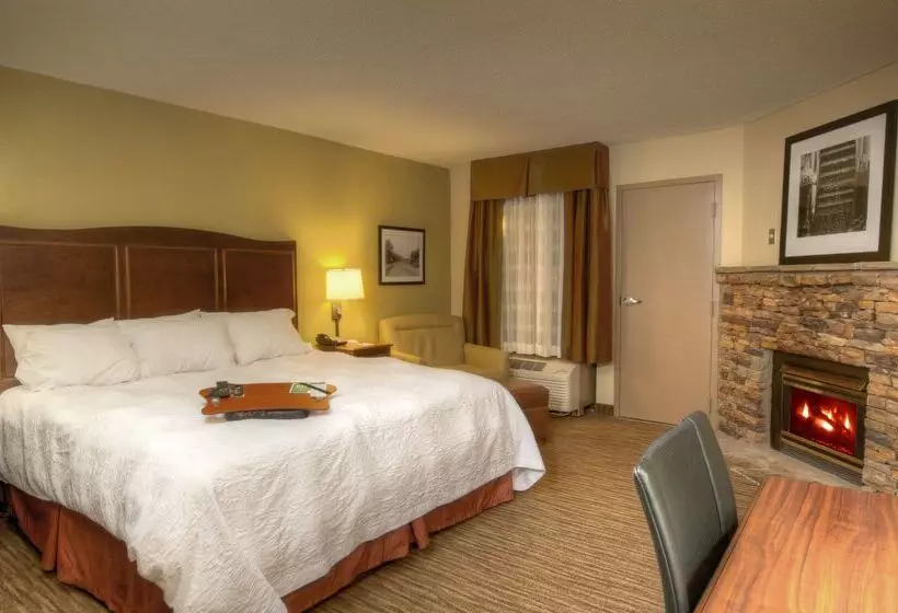 בית מלון כפרי Hampton Inn Gatlinburg