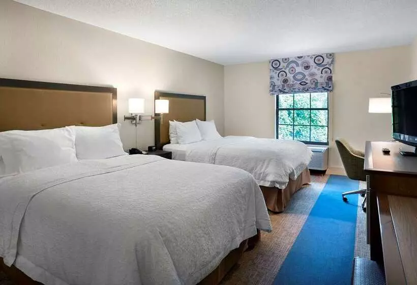 호텔 Hampton Inn Helen