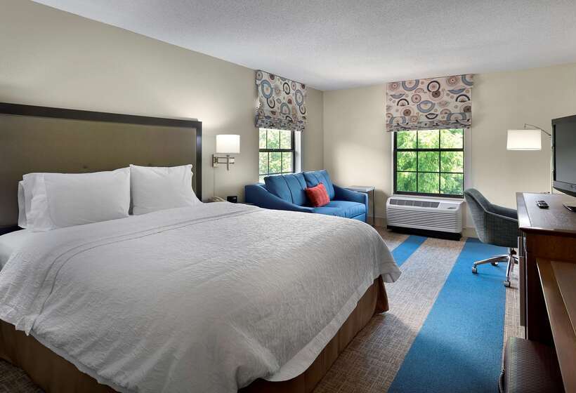 호텔 Hampton Inn Helen