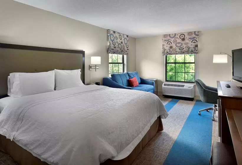 호텔 Hampton Inn Helen