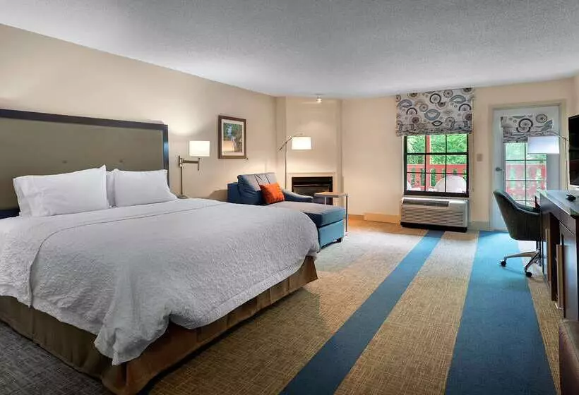 호텔 Hampton Inn Helen