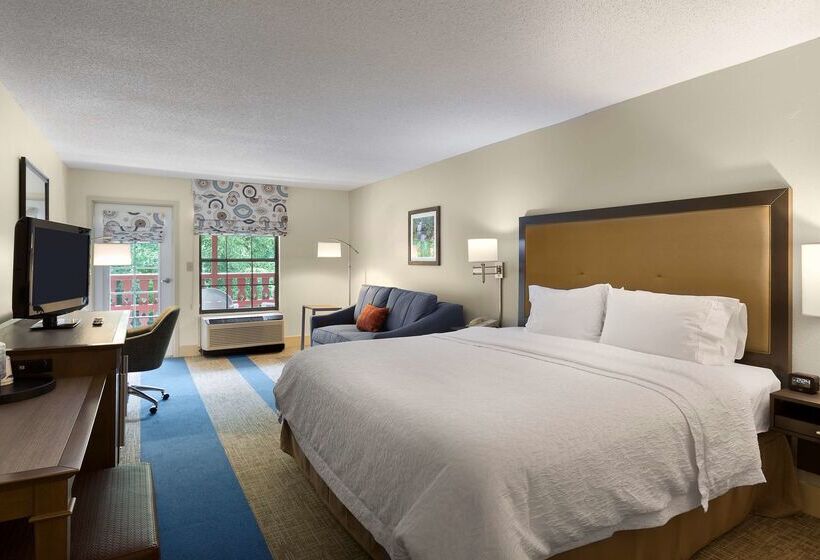 호텔 Hampton Inn Helen